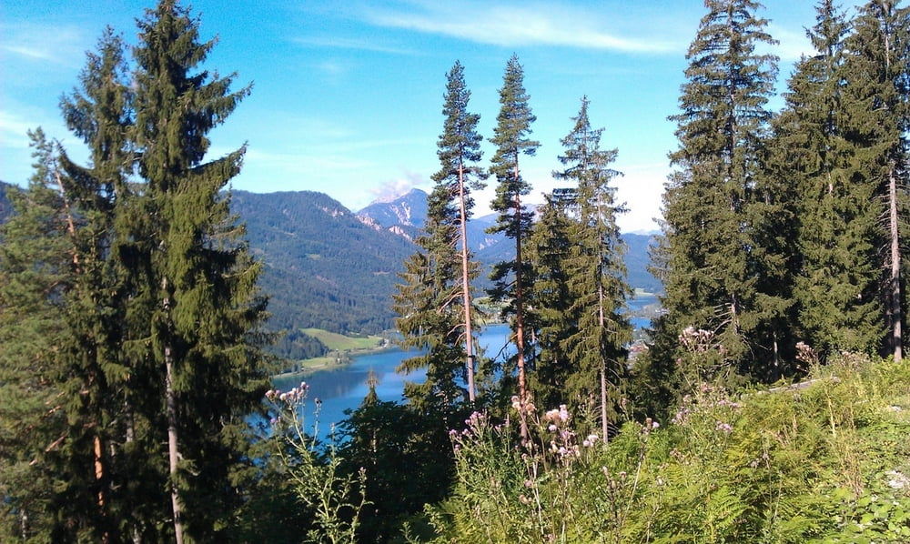 Um den Weissensee