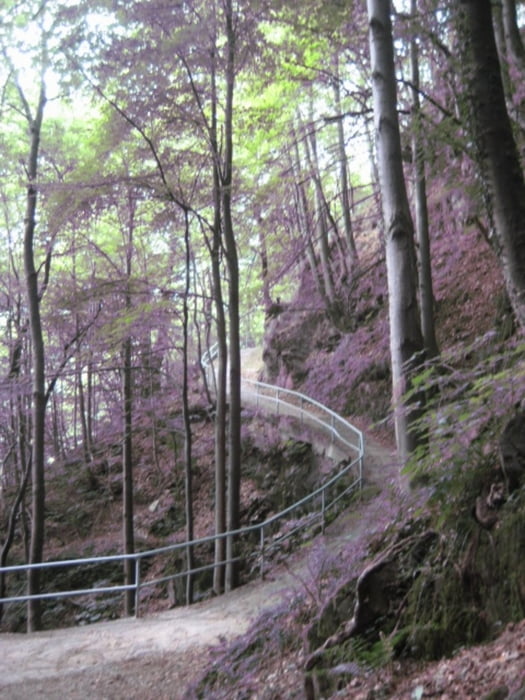 Tour von Cannobio nach Falmenta