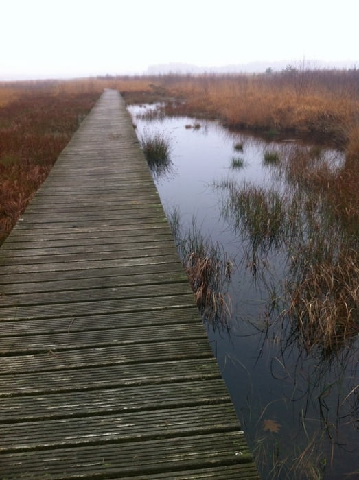 Haaksbergerveen