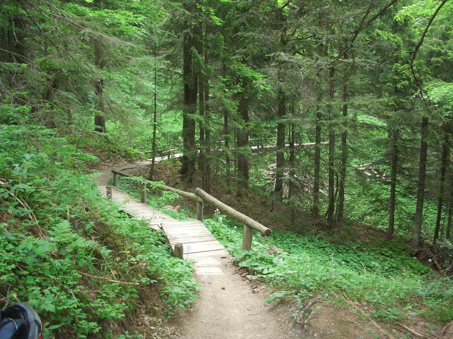 Single trail tegernsee