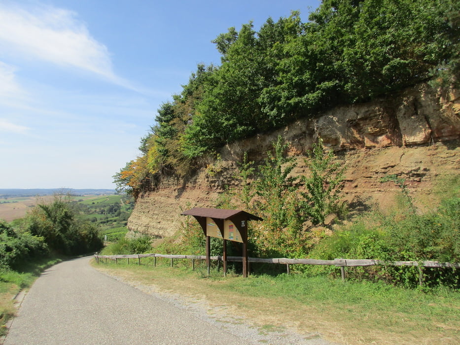 wandern-oberderdinger-amthof-berhardsbach-und-weiher-und-das
