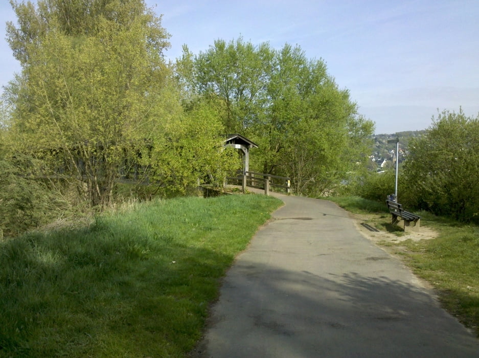 Fahrrad Touring Rheinroute, linkes Ufer, rheinaufwärts 5